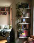 After: Reading nook with a daybed and two rows of shelves mounted to the wall