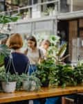 Interior of a plant shop with visible plants in foreground for sale and unidentifiable people in background