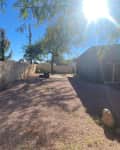 Bare backyard before renovation.