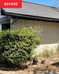 Front exterior (curb appeal) of home before makeover: yard with dry brush, plants, sand colored brick walls, some cement