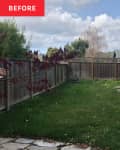 Backyard before renovation.