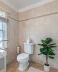 Bathroom with beige tiles, a white toilet, potted plant, rolled towels on a radiator, and a window with blinds.