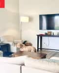 Living room with console table under TV on wall, light sofa and chairs, and drum shade floor lamp in corner before renovation.