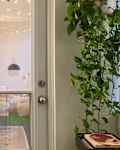 White door with clear glass in the middle and plants on either side of the room
