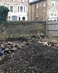 Debris in backyard before renovation.