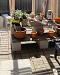 Backyard patio filled with plants before and after renovation, redecoration.