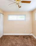 Empty room with beige walls, a ceiling fan, two windows, and a closet. Brown carpet covers the floor.