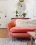 Orange sofa with fluffy pillow, large plant, and decorative mirror in a cozy living room.