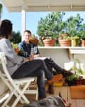 Two people sitting on a porch with potted plants, enjoying drinks, and a dog resting nearby.