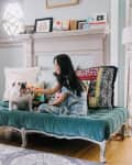 Child petting a bulldog on a teal velvet sofa with colorful pillows in a cozy living room.