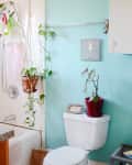 Bathroom with turquoise walls, white tiles, hanging plants, and a potted plant on the toilet tank.