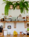 Kitchen shelf with ferns, copper pots, plates, spice jars, and a decorative rooster plate on the wall.