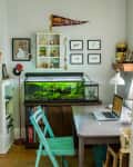 Home office with fish tank, laptop on desk, teal chair, wall art, and Buffalo pennant.