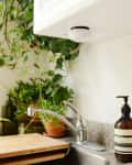 Kitchen sink with wooden cutting boards, glass jar of brushes, soap dispenser, and lush green plants.