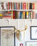 Bookshelves with colorful books, framed art, and a decorative deer head on a wall.