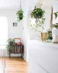 Bright dining room with a white table, clear chairs, hanging plants, and a record player on a stand with vinyl records.