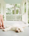 Fluffy white dog lying on a porch next to a person wearing brown sandals.
