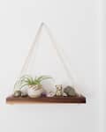 Wooden hanging shelf with a small plant, rocks, and a cat figurine against a white wall.