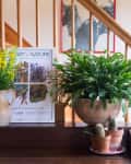Framed art, potted plants, and a nature poster on a wooden staircase landing.