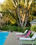 Poolside area with lounge chairs, a small house, and large trees in the background.