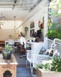 Open-concept living space with blue sofa, white chairs, plants, and a wooden coffee table, leading to a cozy dining area.