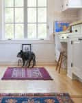 Kitchen with blue and white cabinets, a French bulldog on a red rug, and a window view.
