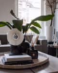 Living room with a gray sofa, decorative tray on coffee table, large green plant, and modern black fireplace.