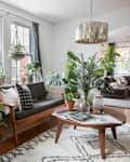 Living room with large plants, a wooden coffee table, a gray sofa, and a dog lounging on a sectional.