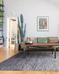 Living room with green sofa, wooden coffee table, cactus, plants, and wooden chairs on a gray rug.