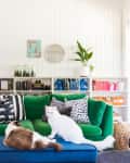 Woman holding a cat on a green sofa with patterned cushions, surrounded by bookshelves and two other cats.
