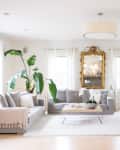 A living room with a gray couch, large houseplant and gilded mirror.