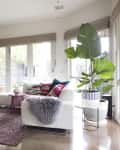 Modern living room with teal shelving, white sofa, colorful cushions, large plants, and abstract wall art.