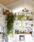 Lofted tiny house interior with plants, wooden stairs, white kitchen, and colorful wall art.
