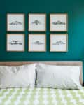 Bed with green patterned duvet, teal wall, six framed mountain prints, and two bedside tables with books and lamps.