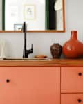 Coral bathroom vanity with black faucet, potted plant, ceramic vases, and a wooden-framed mirror.