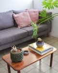 Gray sofa with pink pillows, wooden coffee table with plants and books, large potted plant on side table in a cozy room.