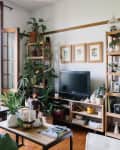 Living room with wooden shelves, potted plants, a TV, and framed botanical prints on the wall.
