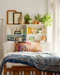 Cozy bedroom with colorful pillows, patterned bedspread, bookshelves, plants, and dresses hanging on closet doors.