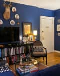 Cozy living room with blue walls, eclectic decor, bookshelves, a TV, and a glass coffee table.