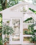 White greenhouse with large glass windows, surrounded by lush green plants and trees.