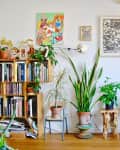 Living room with bookshelves, potted plants, colorful artwork, a stereo system, and a yellow armchair.