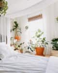 Bedroom with white bedding, wooden headboard, and numerous potted plants by a window with sheer curtains.