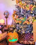 Cozy room with Halloween and autumn decor, featuring a lit jack-o'-lantern, fall-themed tree, and various plants.