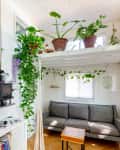 Cozy living room with gray sofa, wood stove, hanging plants, and a loft bed.