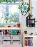 Indoor space with a window, potted plants, a wood stove, books, and organized shelves with baskets and household items.