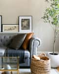 Gray tufted sofa with brown pillows, framed art on wall, glass coffee table, and potted plant in living room.