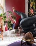 Person practicing yoga headstand in a plant-filled room with red walls and floral artwork.