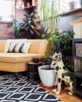 Cozy living room with a mustard sofa, geometric rug, plants, and eclectic decor, including a ceramic dog statue.