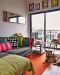 Cozy living room with colorful pillows, a gray sofa, orange rug, wall art, and a dog by the sliding glass door.