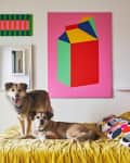 Two dogs on a bed with colorful pillows, surrounded by vibrant geometric art on the walls.
